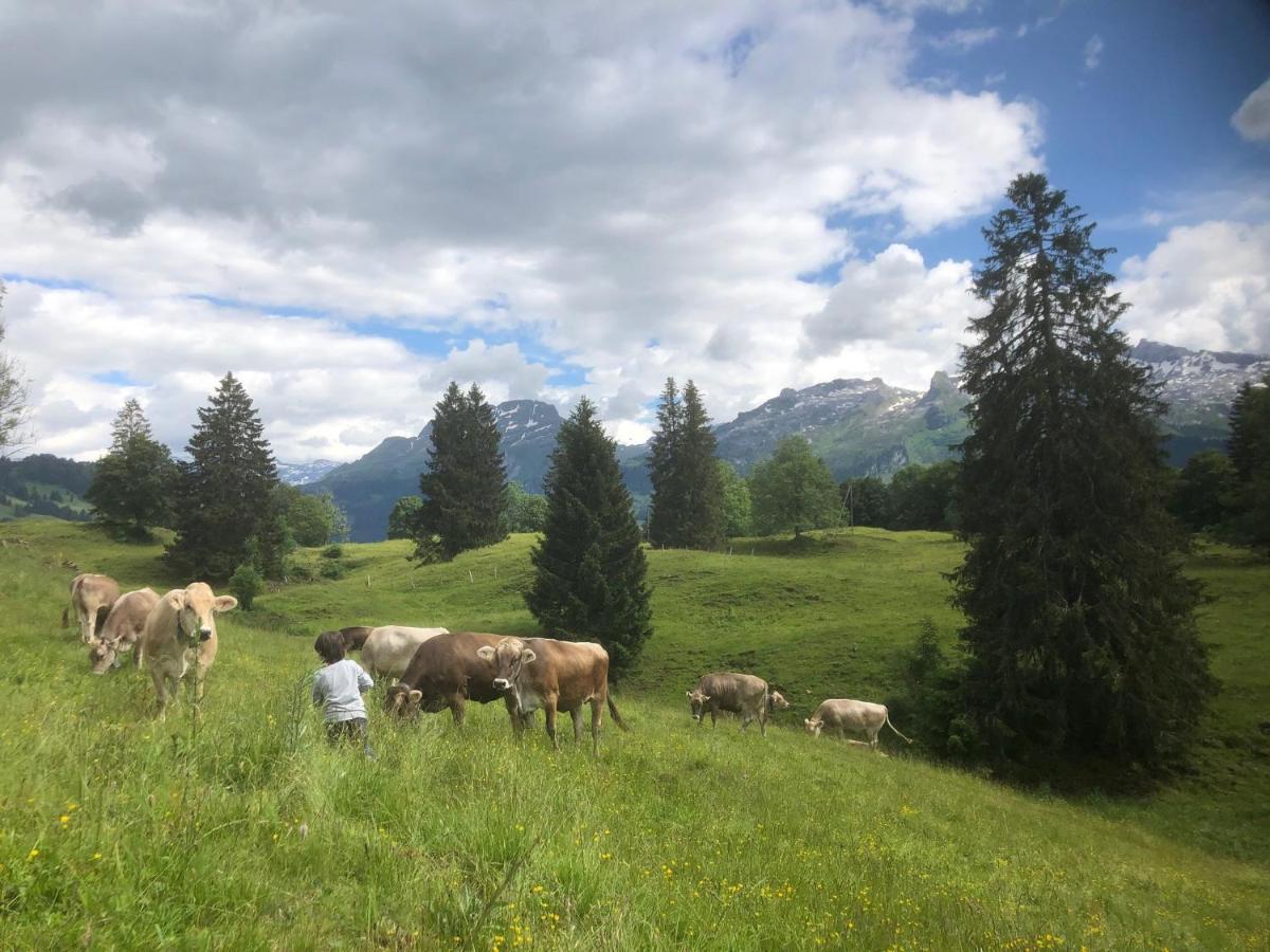 Ferienwohnungen Mit 4 Betten In Gersau Direkt Am Vierwaldstaettersee Exterior photo